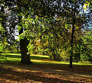 Парк Замка Ойтин.Золотая осень.