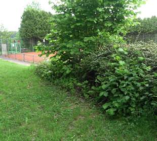 Tennisanlage Loßburg
