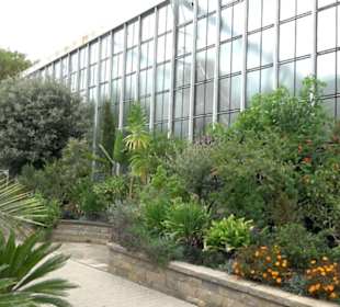 Tropicarium