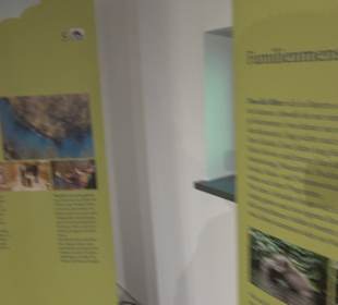 HöhlenSchauLand Hürben