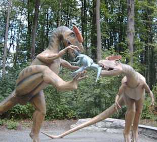 Fleischfressende Dinos