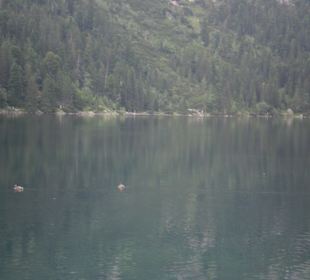 Tatrzański Park Narodowy