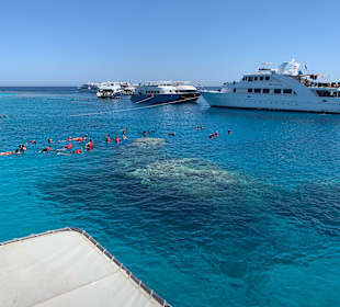Schnorcheln Hurghada