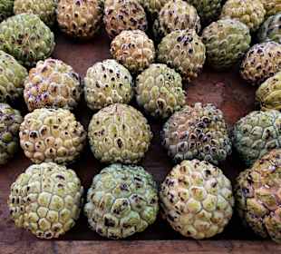 Rundgang über den Wochenmarkt von Saint-Paul