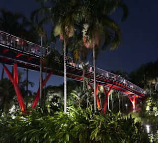 Gardens by the Bay abends