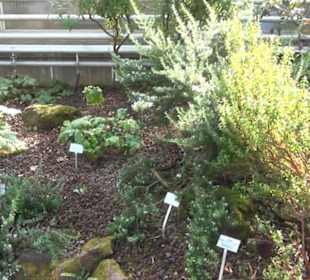 Berggarten