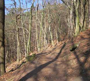 Weg zur Burg Neuscharfeneck