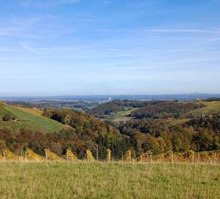 Blick Richtung Sirnauberg