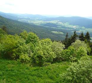 Ausblick von der Kötztinger Hütte