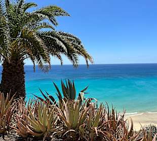 Strand Playa de Esquinzo / Playa de Butihondo