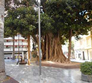 Plaza de San Francisco