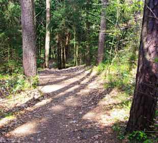 Waldweg zum Bitterbach