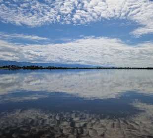Boggy Pond Wairarapa Moana Wetlands