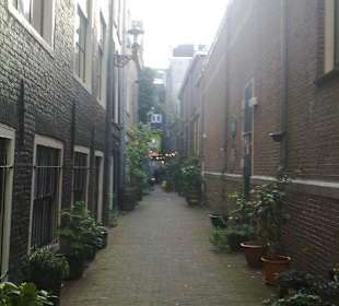 Vacaciones perfectas con amigos