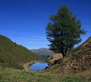 Kleiner See beim Pfaffensee