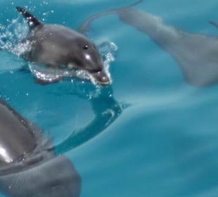 Baby beim Luftholen!