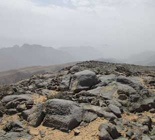 Safari nach Jebel Harim 