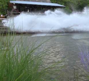 Land der Abenteuer - Dschungel X-pedition