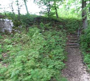 Ruine Burg Kaltenburg