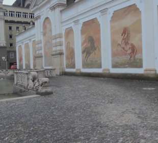 Pferdeschwemme