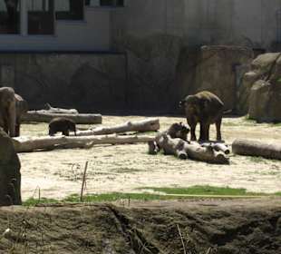 Kölner Zoo