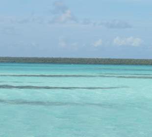 Saona