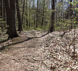 Wanderung Florianrunde