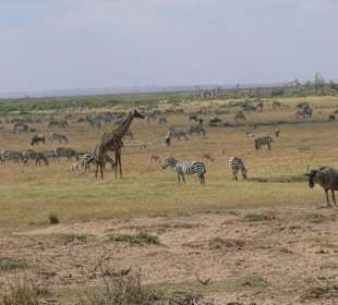 Hier ist echt was los!