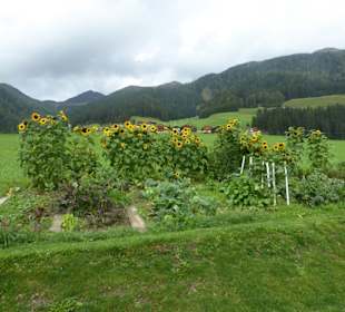 Eichhörnchenweg St.Magdalena - Kradorfer Alm
