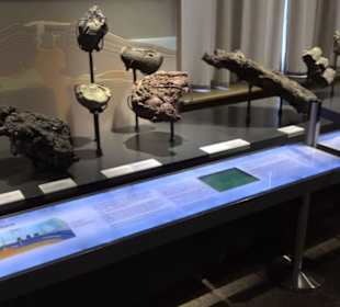 Museum für Naturkunde