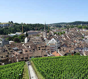 Munot Ausblick