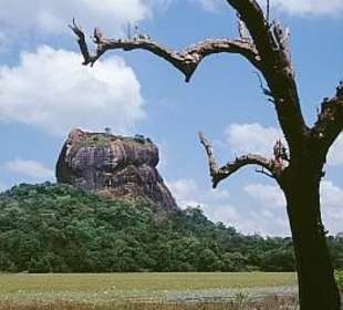 Sigiriya -