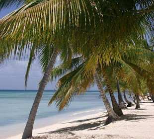 Isla Saona