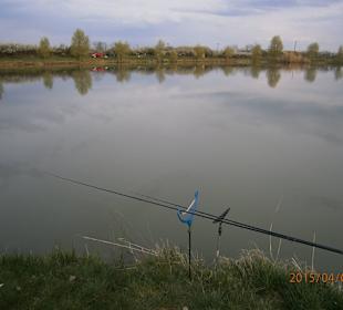 Rods and calm water