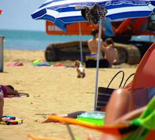 Weitere Hundefreunde