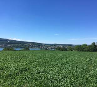 Rundwanderweg Steckborn