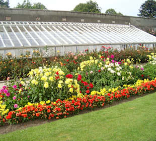 Powerscourt Gardens