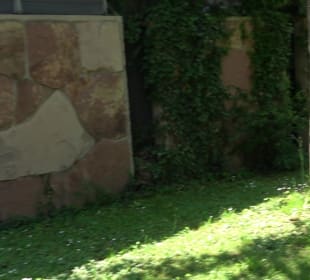 Friedhof Handschuhsheim