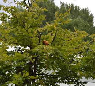 Allwetterzoo Münster