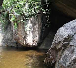 Nationalpark - Ausflug