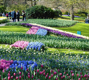 Blumenpracht im Keukenhof