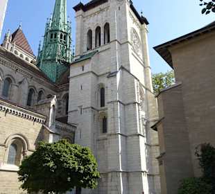 Stop an der Kathedrale St.Peter