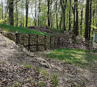 Keltischer Donnersberg