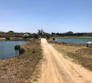 Wandern Cabanas de Tavira