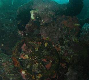 Die Überreste der Liberty