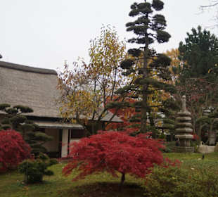 Parkanlage Planten un Blomen