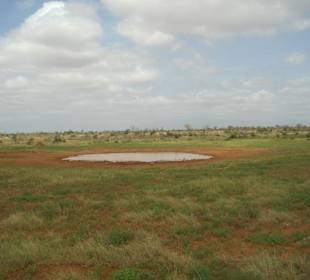 Tsavo Ost