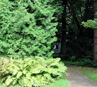 Spaziergang durch Thieles Garten