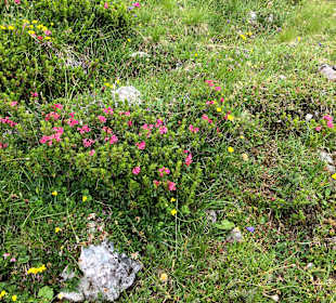 Wandern Nova Ponente / Deutschnofen