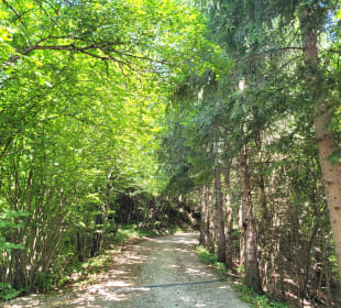 Wanderweg zur Wallfahrtskirche